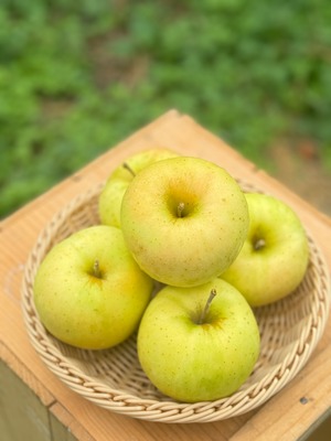 トキ家庭用　2kg