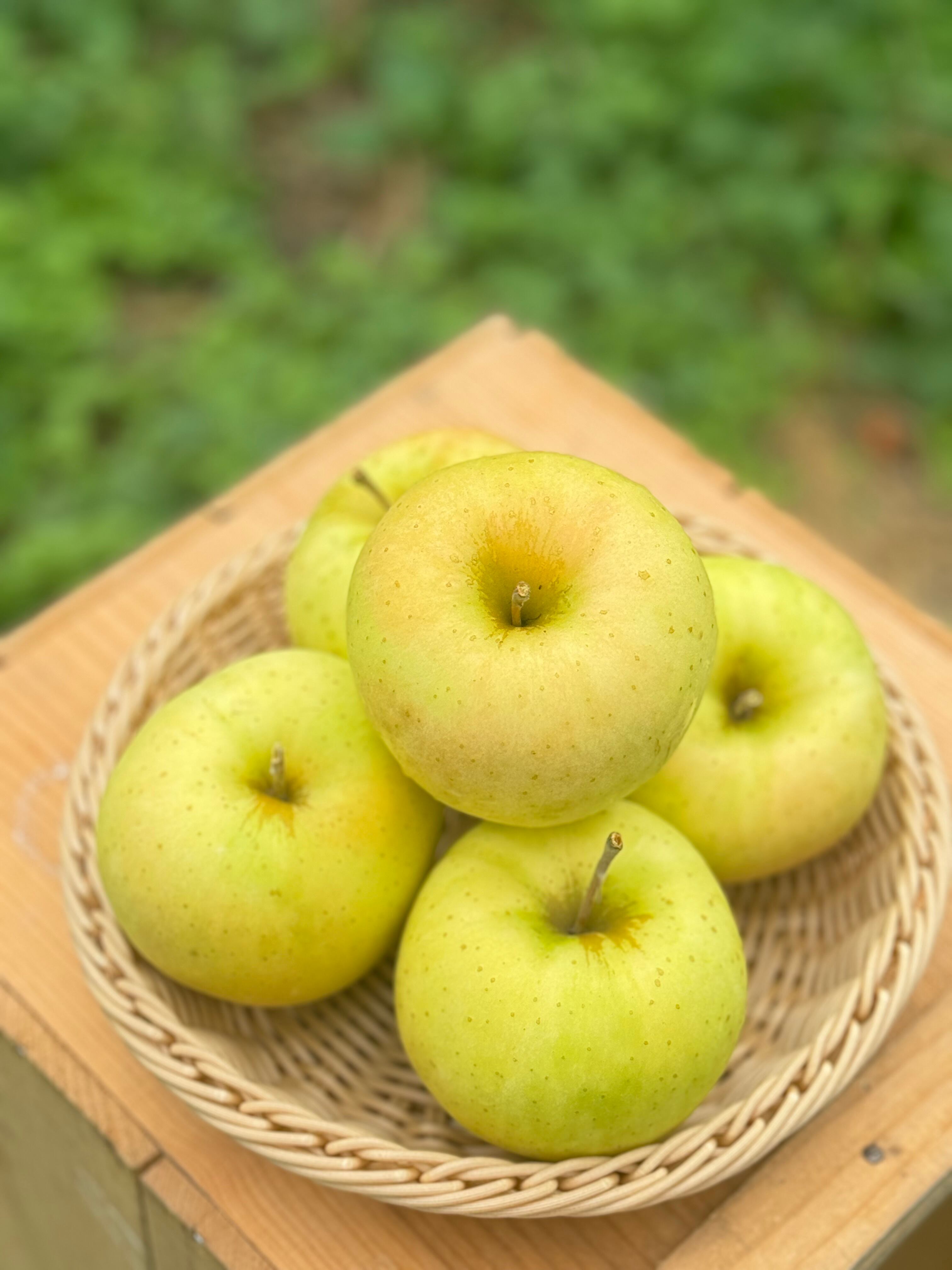 トキ家庭用　2kg