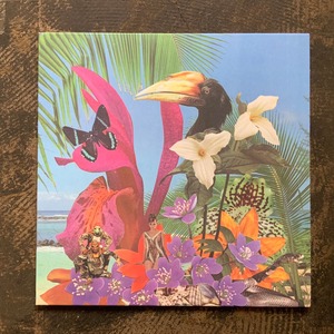 Monster Rally ‎/Adventures On The Floating Island (purple vinyl)