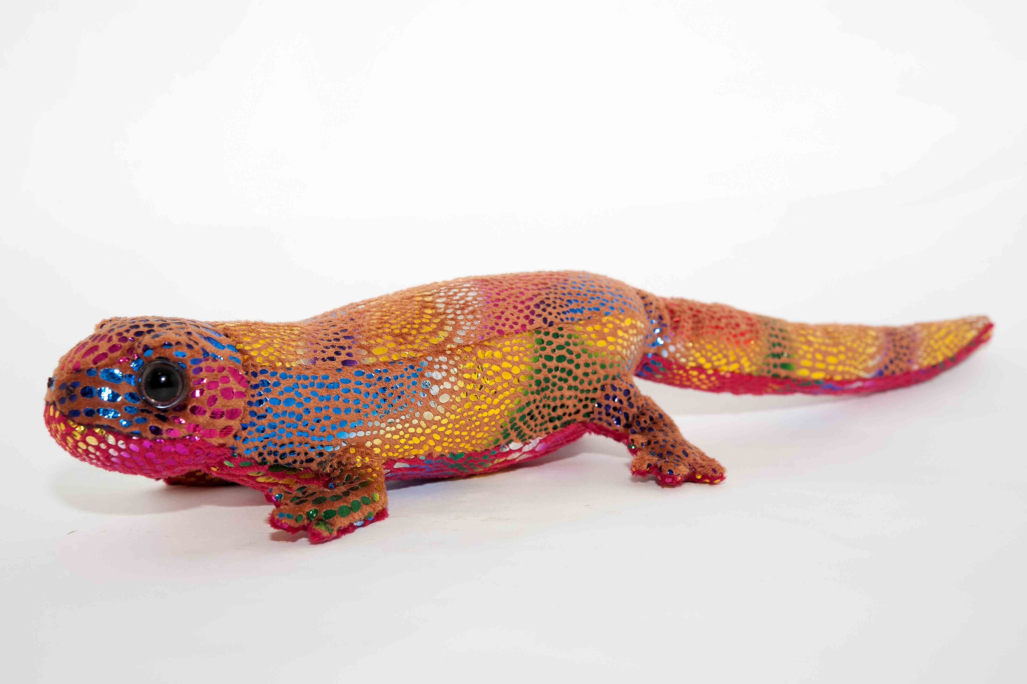 アカハライモリ アカハライモリ レインボー | 日本両棲類研究所