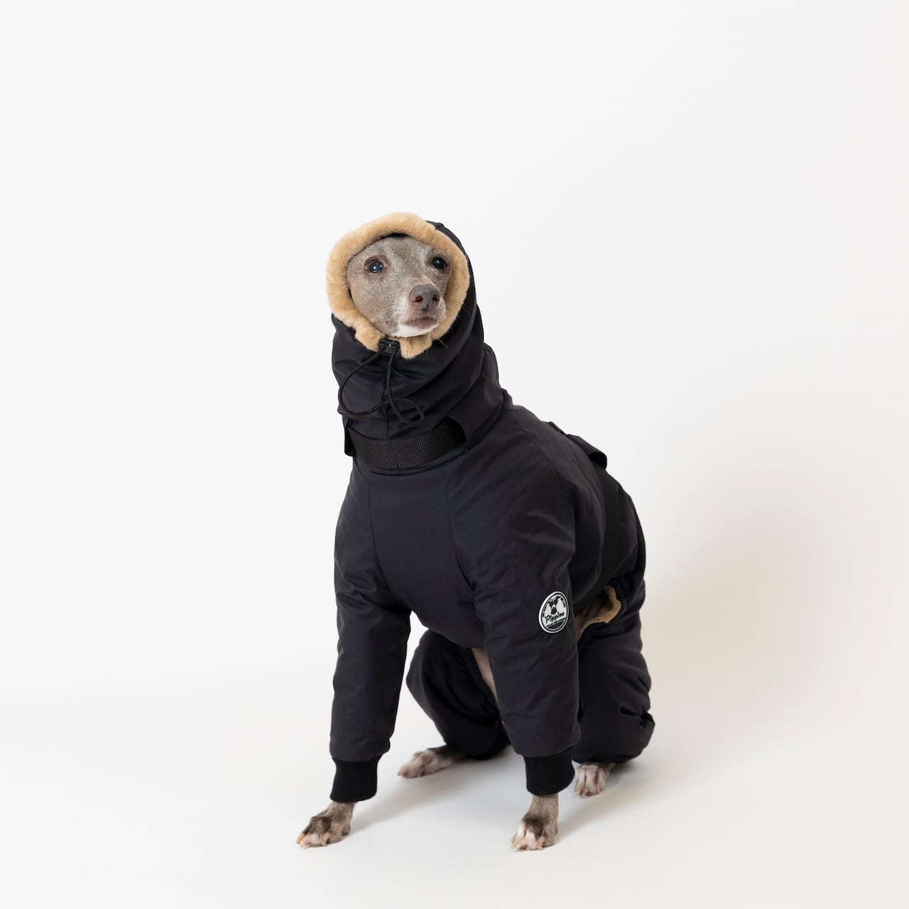 ボンバーヒートジャケット2024 black / イタグレ服 | イタグレ服