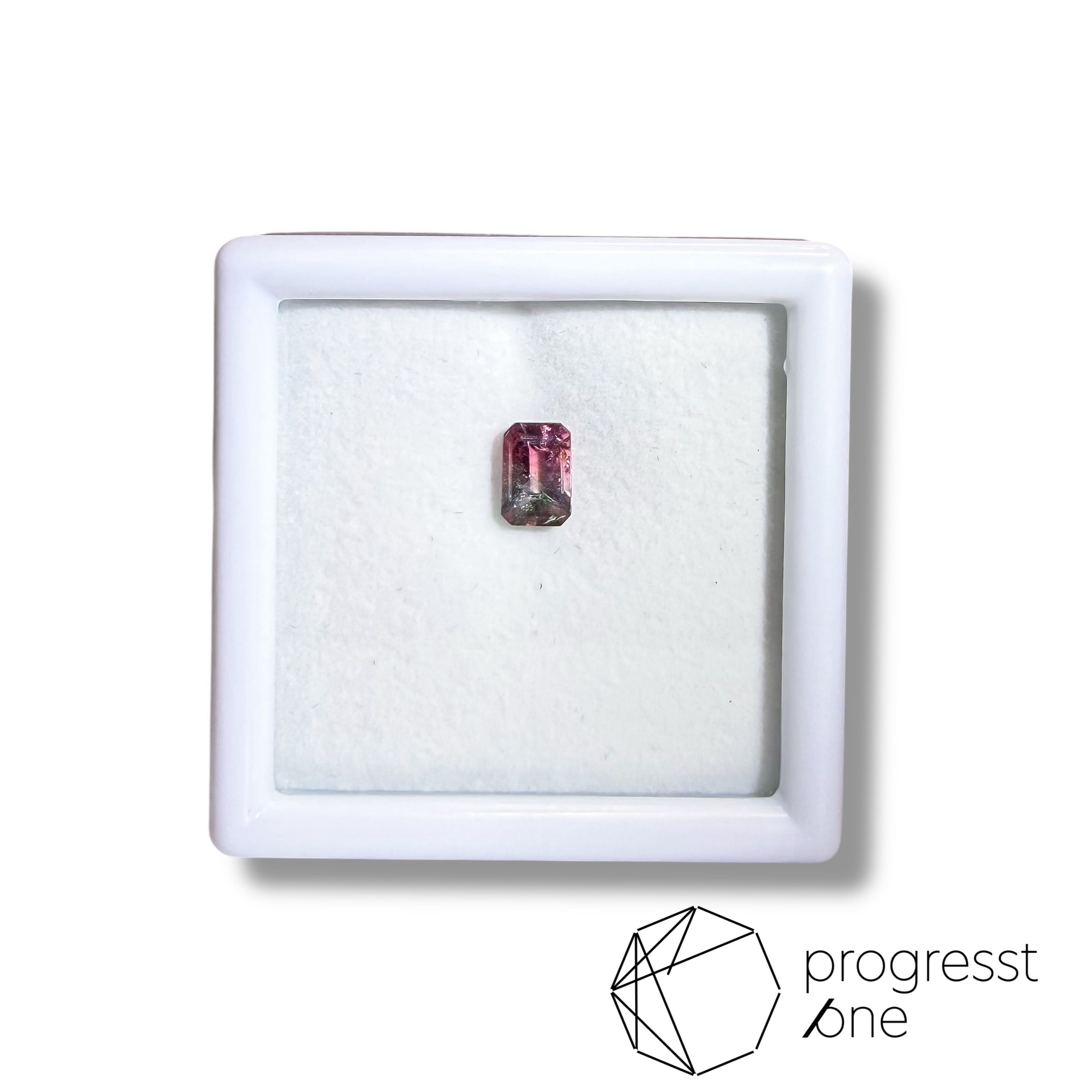 バイカラートルマリン0.83ct | progresstone