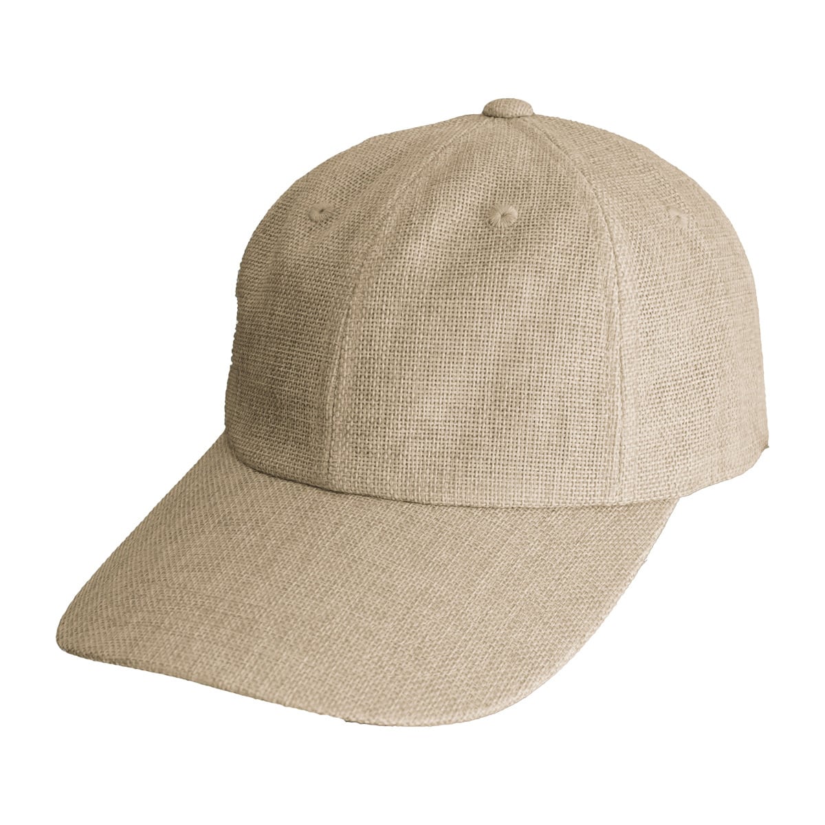 ベースボールキャップ | patagonia(パタゴニア)正規取扱店 protocol