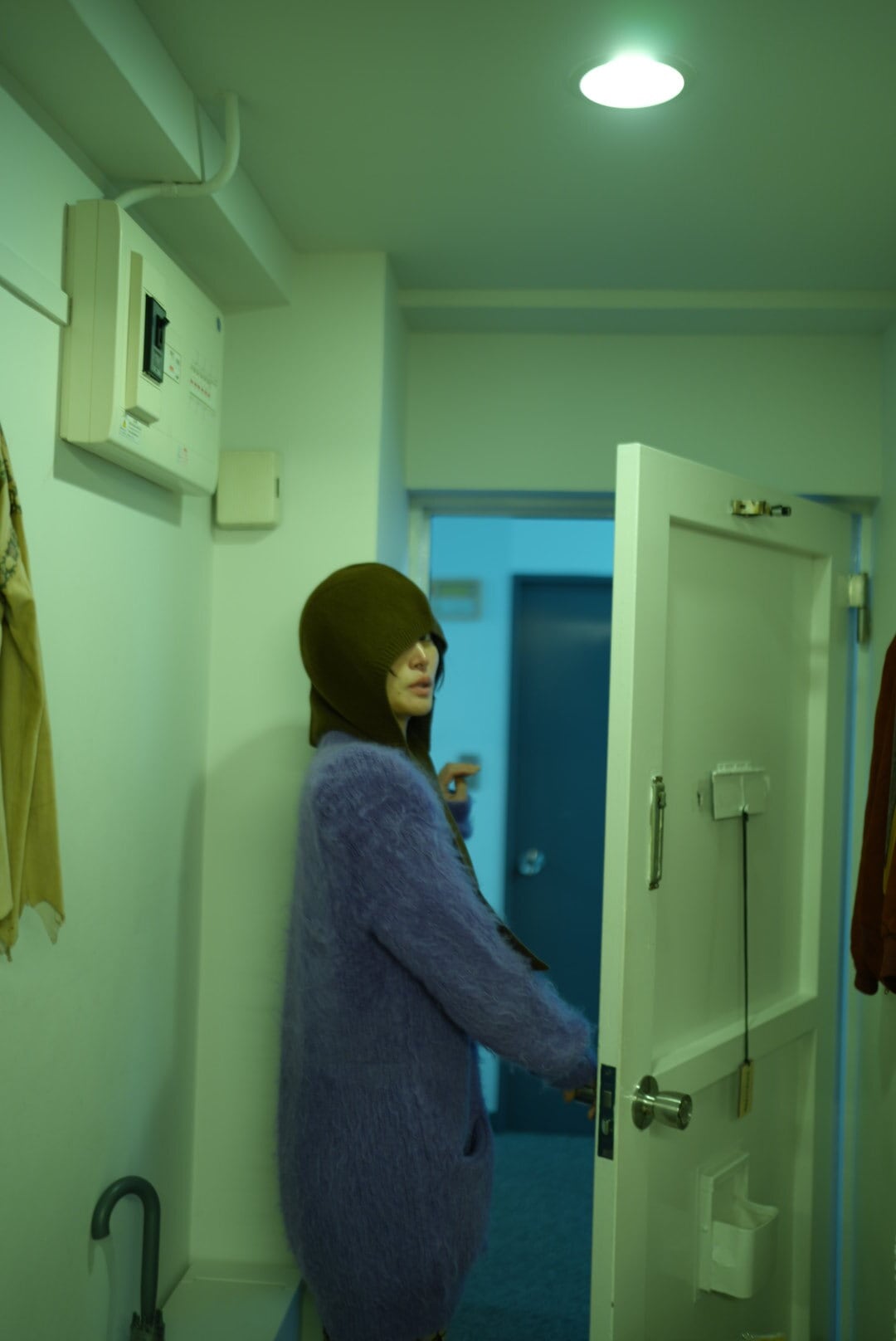 MOON TREE PLANET - ZUKIN brown | Pay ID