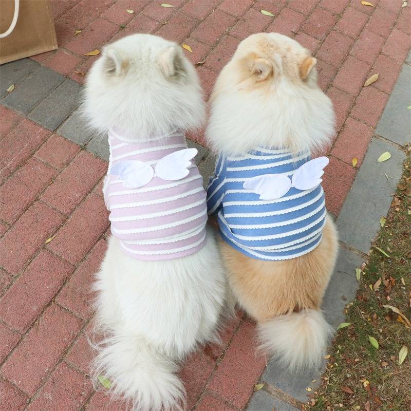 2XL~7XL 羽根つきTシャツ 受注生産