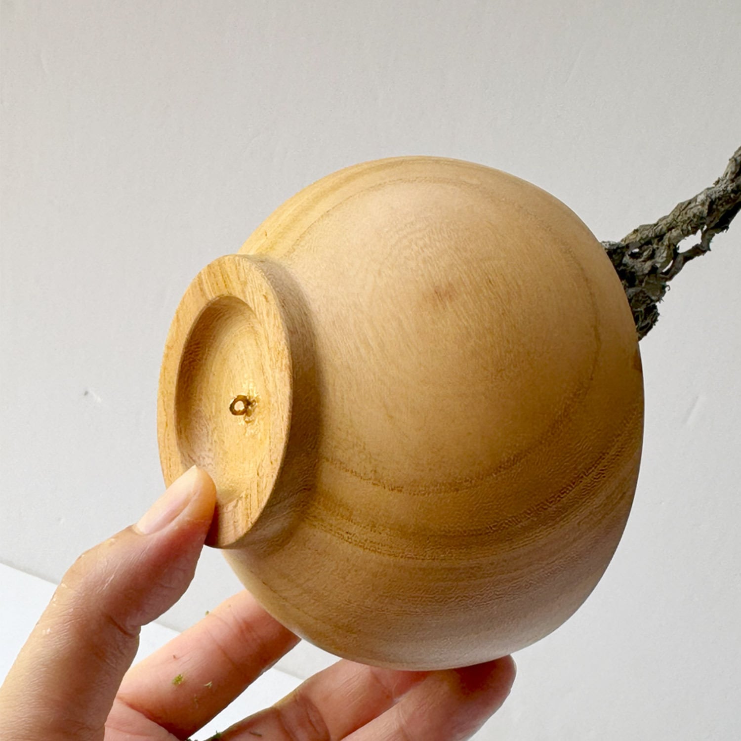 盆栽 松 / Re.Bonシリーズ (Craft Bonsai Pine) | 盆たれすと