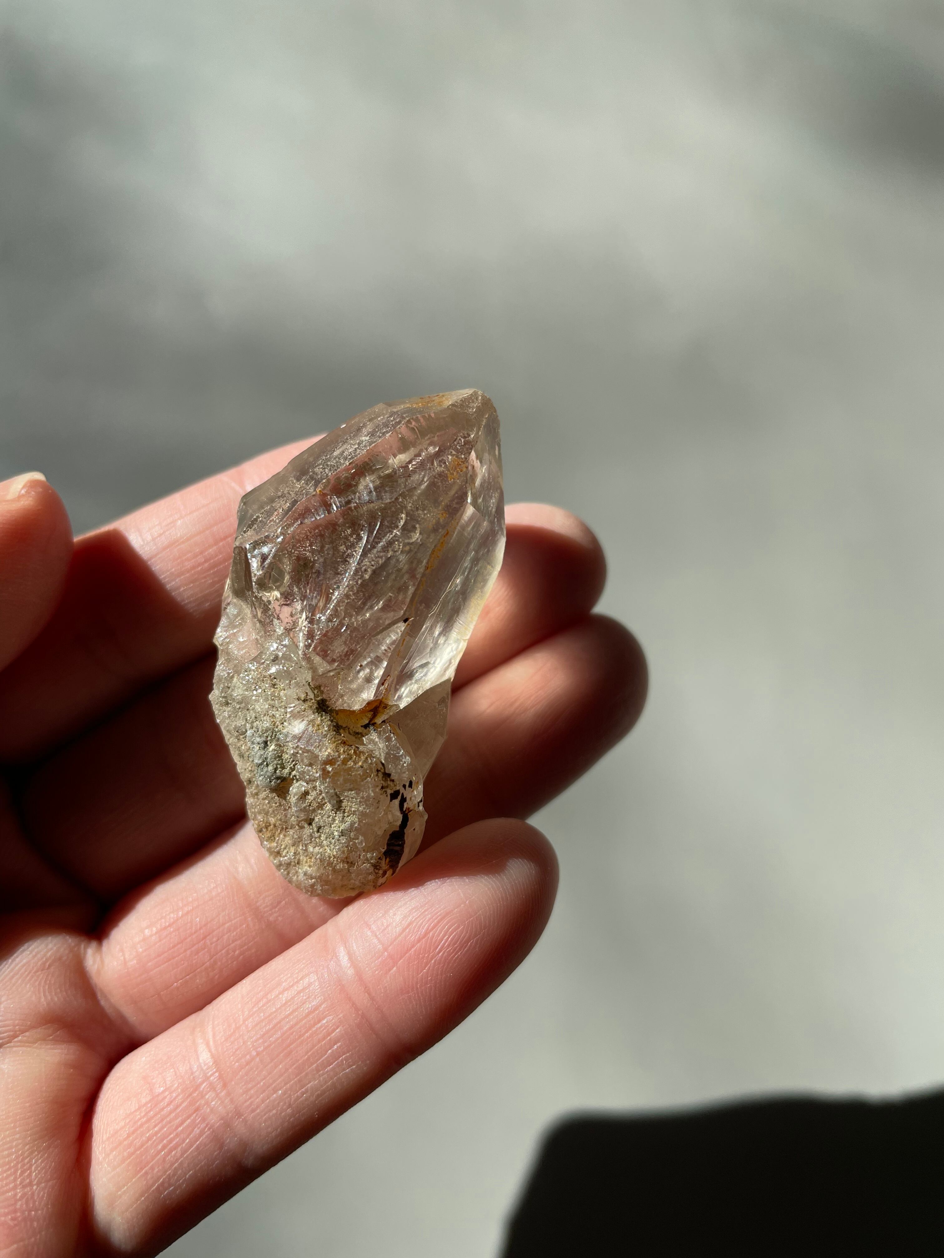 Golden Healer / ゴールデンヒーラー