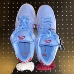 Nike SB Dunk Low Pro "Philadelphia Phillies/Valor Blue and Team Maroon" US10/28cm