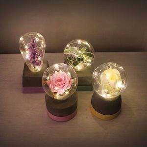 baby pot mood light set / 韓国 フラワー ライト