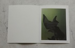 藤田はるか 写真集"Torikumo"【特装版】オリジナルプリント(美濃和紙)1点付き no.1 thumbnail 2