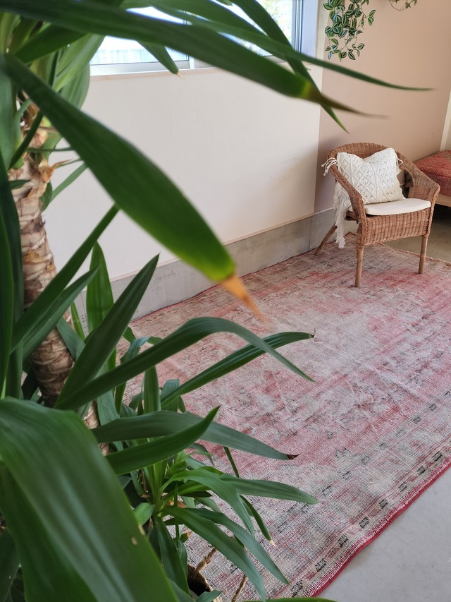 Turkish rug 276×173cm  No.352