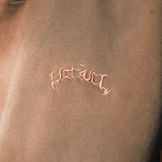 OG SMALL LOGO PIGMENT HOODIE