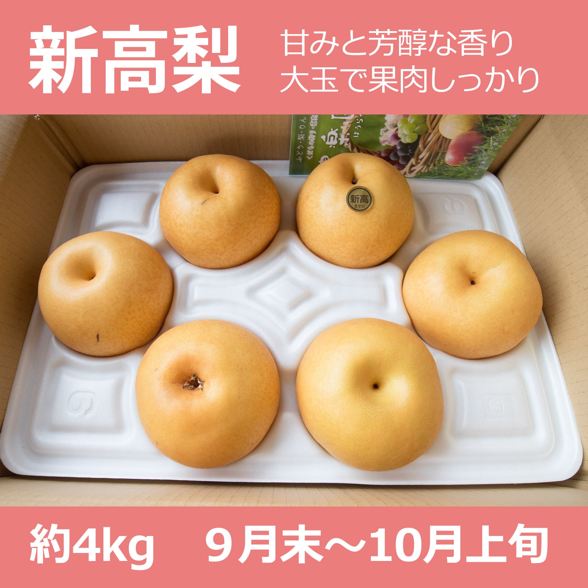 お試しにも！リンゴのようなフルーツ！！沖縄産インドナツメかわいい