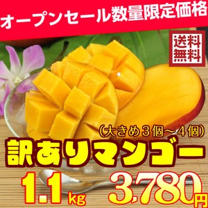 沖縄県産訳ありマンゴー１kg【３玉】