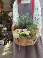 伊勢市内への配達でお届け■■母の日おまかせセレクト苗アレンジメント