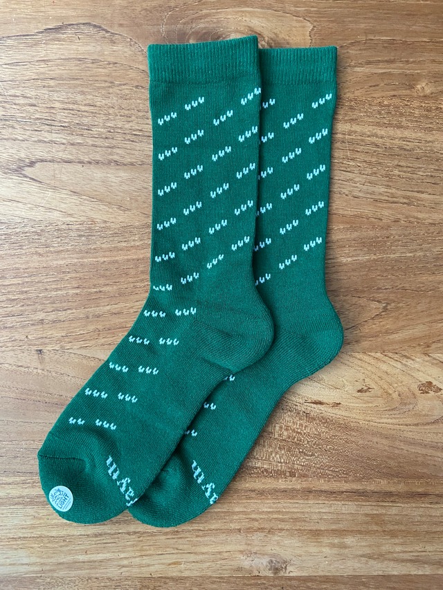 MY LOADS ARE LIGHT × ALWAYTH / PIGEON - BROADLEAF