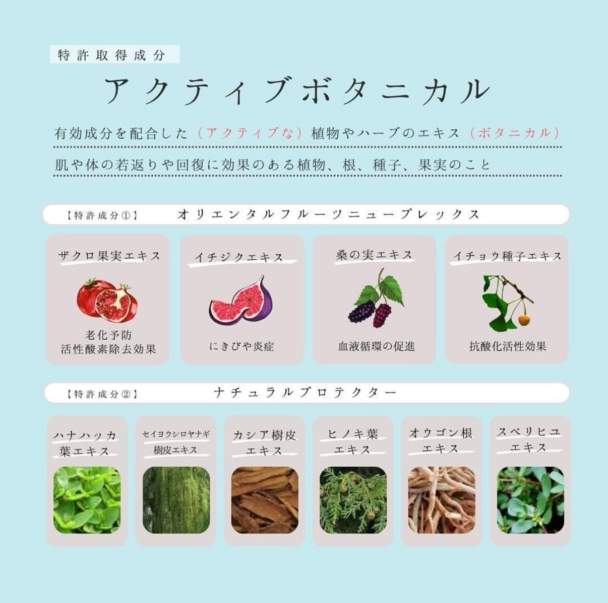 RIBESKIN】エピダームプラスクリーム 230 | MIBELL OFFICIAL STORE