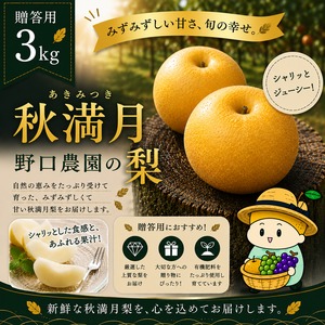 ⬛︎贈答用 〜千葉限定生産梨〜秋満月 3kg