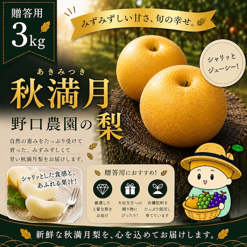 ⬛︎贈答用 〜千葉限定生産梨〜秋満月 3kg