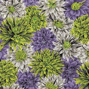 8/21発売！USAコットン Kaffe Fassett（布幅X50cm単位カット）Bursting Stripes（バースティング・ストライプス）PWPJ137.CONTRAST