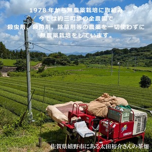 無農薬栽培 嬉野産べにふうき粉末茶 50g袋入り｜農家直送の香り豊かで色鮮やかなお茶 花粉症対策に栄養まるごと摂取