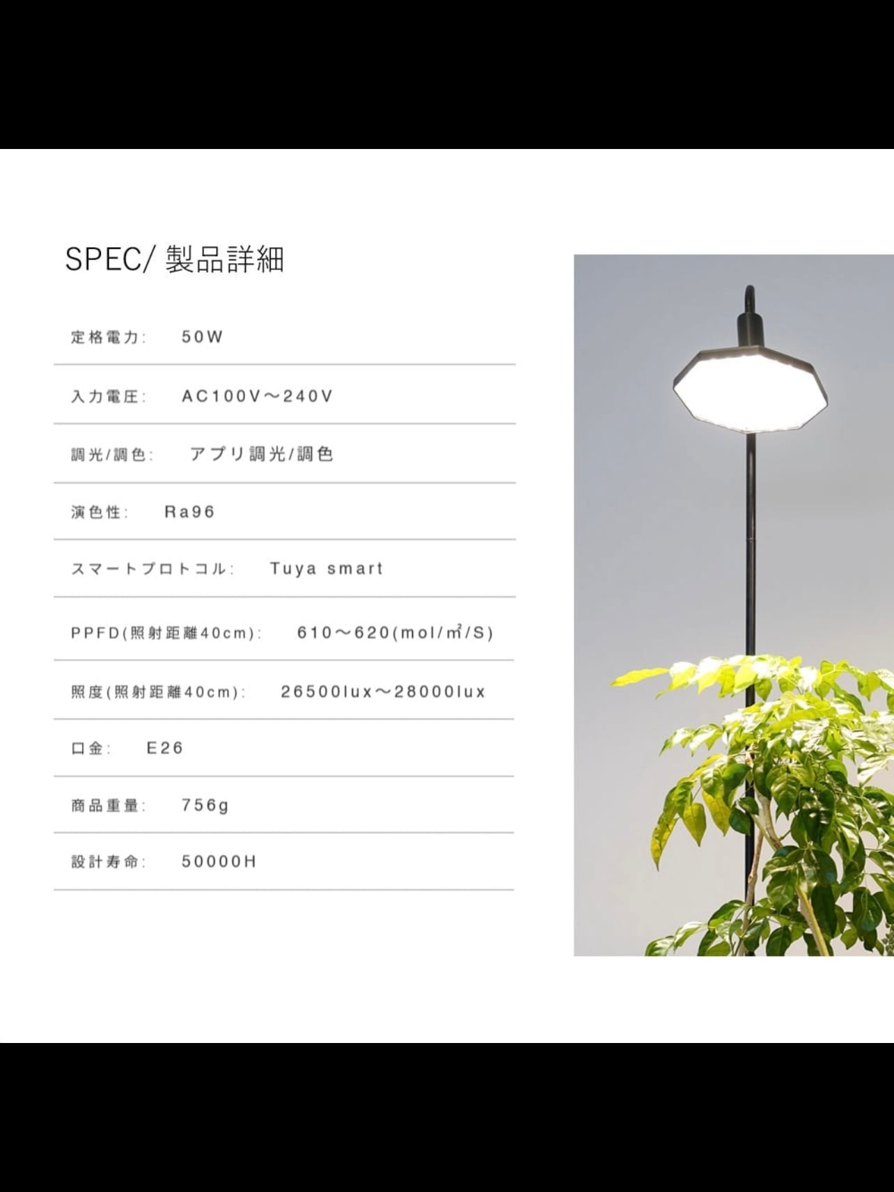 ROKI‐Octagon 50W | trigger