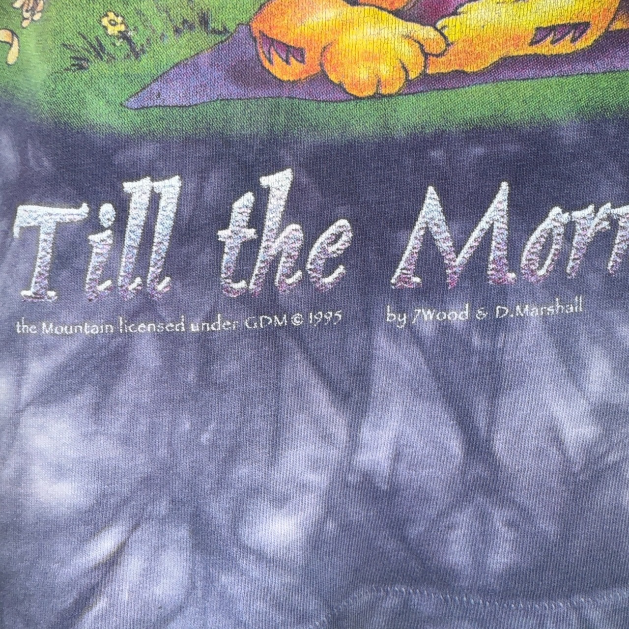 【GRATEFUL DEAD】グレイトフルデッド Till the Morning Comes タイダイ柄 Vintage ロングスリーブ Tシャツ