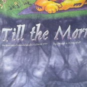 【GRATEFUL DEAD】グレイトフルデッド Till the Morning Comes タイダイ柄 Vintage ロングスリーブ Tシャツ