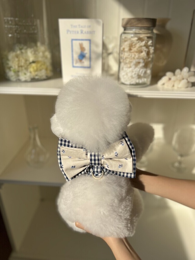 【即納】Blue Cherry Yoghurt Harness & Leash set / SICGGU
