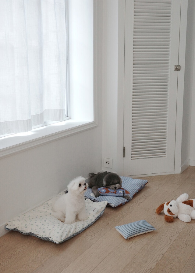 〈即納アイテム〉OHDIBS /Homey Warmy Topper -フルセット-