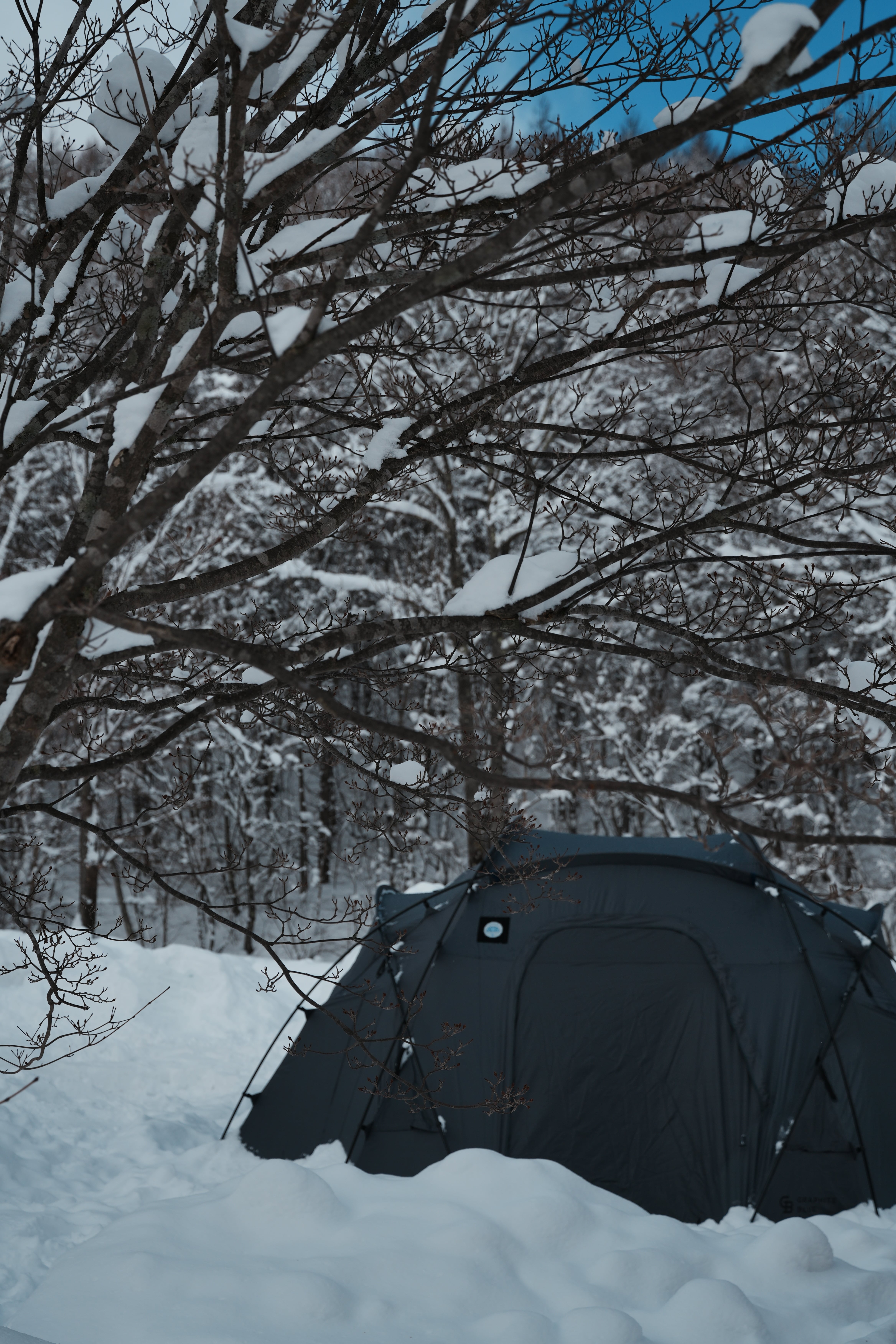 【New Year Sale】GB Thermo Shelter