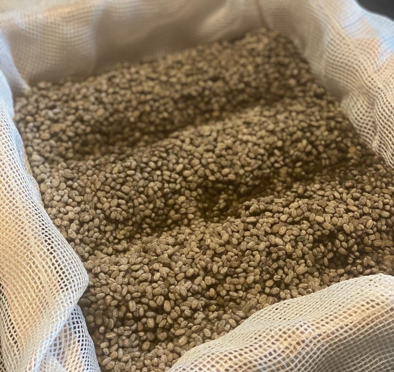 喚火万膳（黒麹、黄麹）2本セット コルク筒 楽天市場】【レトロ