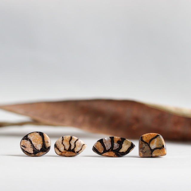 K14｜Fossilia｜アンモナイトのシングルスタッドピアス（片耳）D