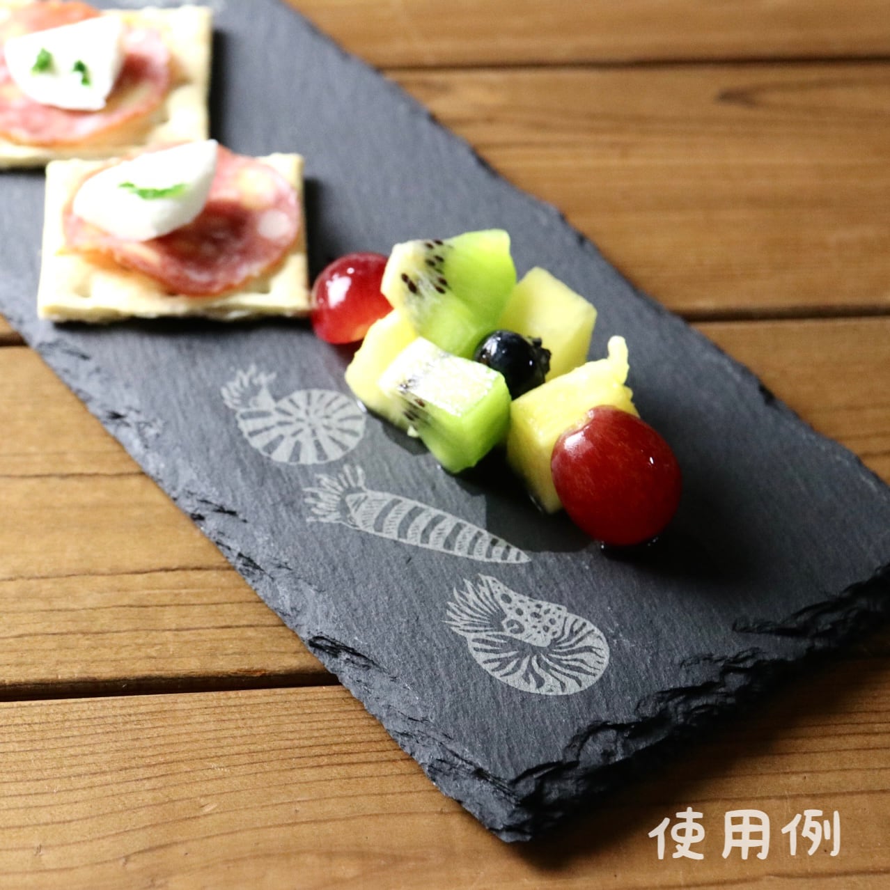 古代プレート :L 〈 アンモナイト化石 〉 | 樹源 ‐KiGen‐