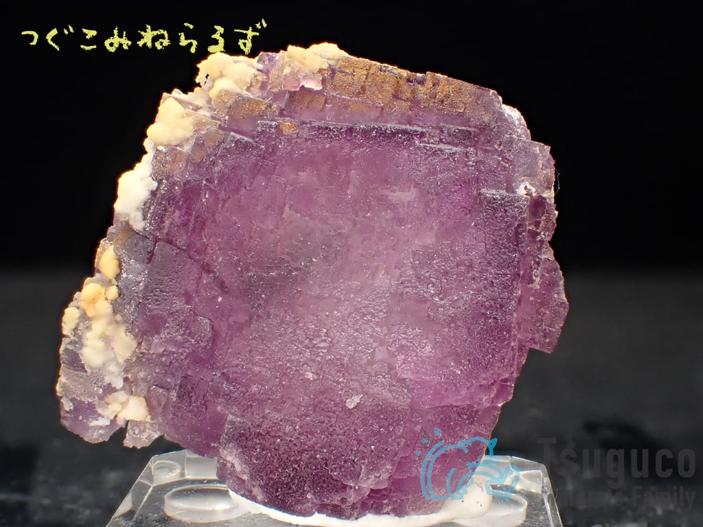 フローライト 蛍石 Fluorite スペイン TM-0003
