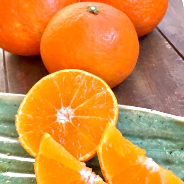 魅惑の柑橘『まどんな みかん』1.5キロ