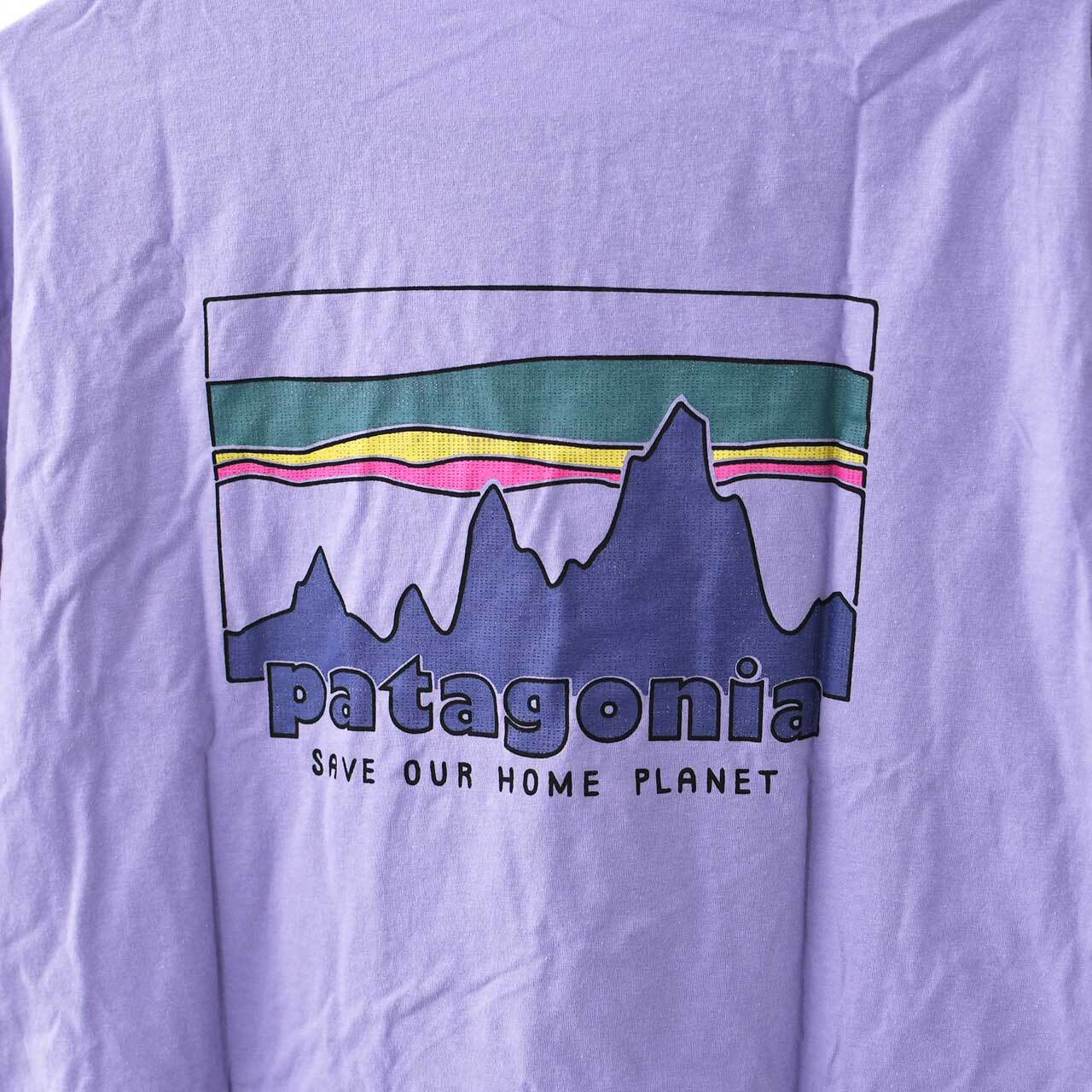 Patagonia [パタゴニア正規代理店] M's '73 Skyline Organic T-Shirt