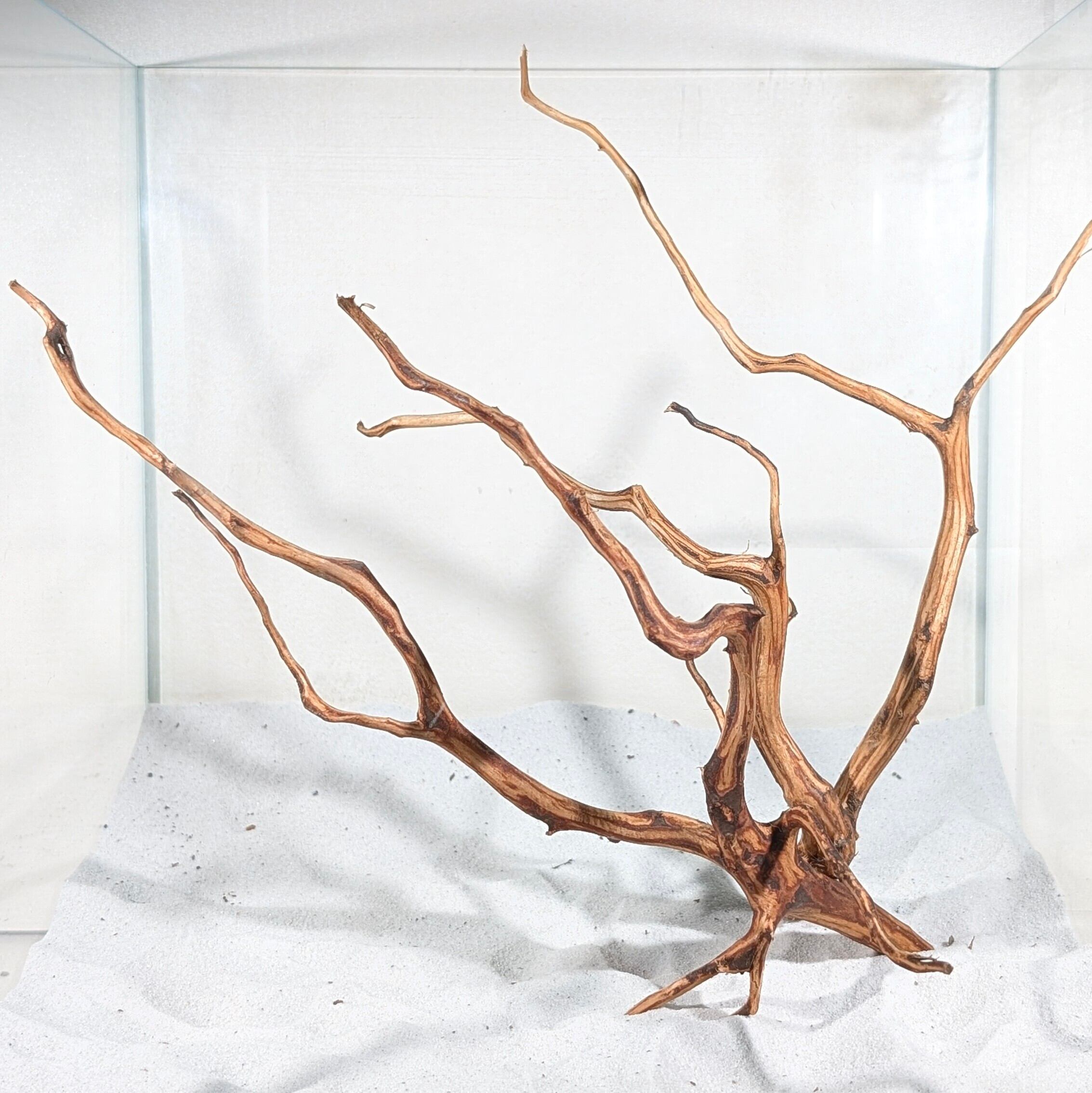 30cm水槽向け | ペットの流木 水宗工房