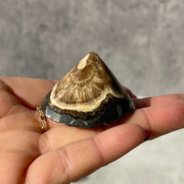 ポーランド産【パイライト×バライト】② 鉱物 天然石 パワーストーン