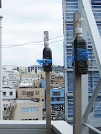 イノシシ　ネズミ　鳥避けリング　4本