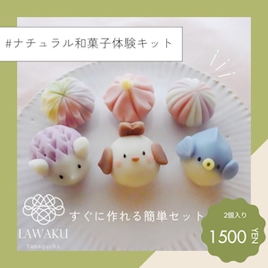 【やまぐちECエール便】簡単!初級ナチュラル和菓子体験キット