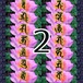 商品画像２の色の蓮華Bに手書き梵字B１４種セット。サイズ：１２００×４００（px）