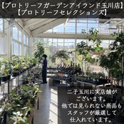 【一穂窯】黒白化粧嘯裂鉢 4号