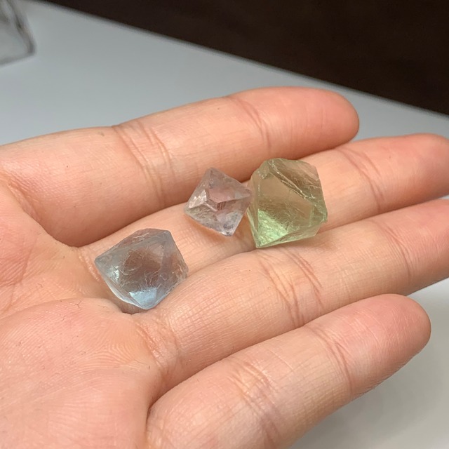 ちょこんと座っている可愛いねこさんの休憩所・フローライトねこ