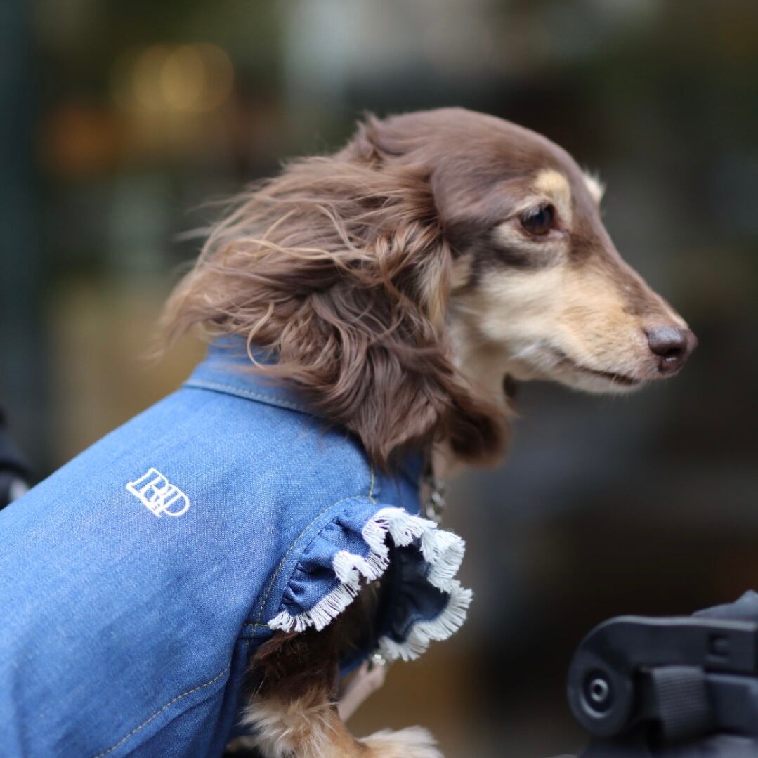 デニムシャツワンピ（フリンジ） | カニンヘンダックスとミニチュア