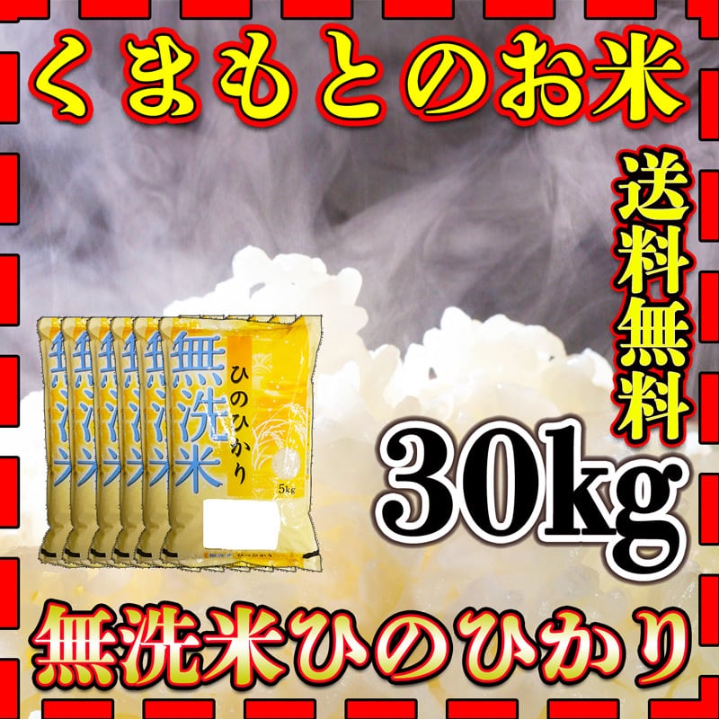 お米 米 10kg 白米 送料無料 熊本県 菊池産 ひのひかり 令和7年産