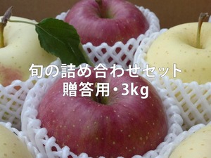 【3kg】旬のりんご詰め合わせギフトセット