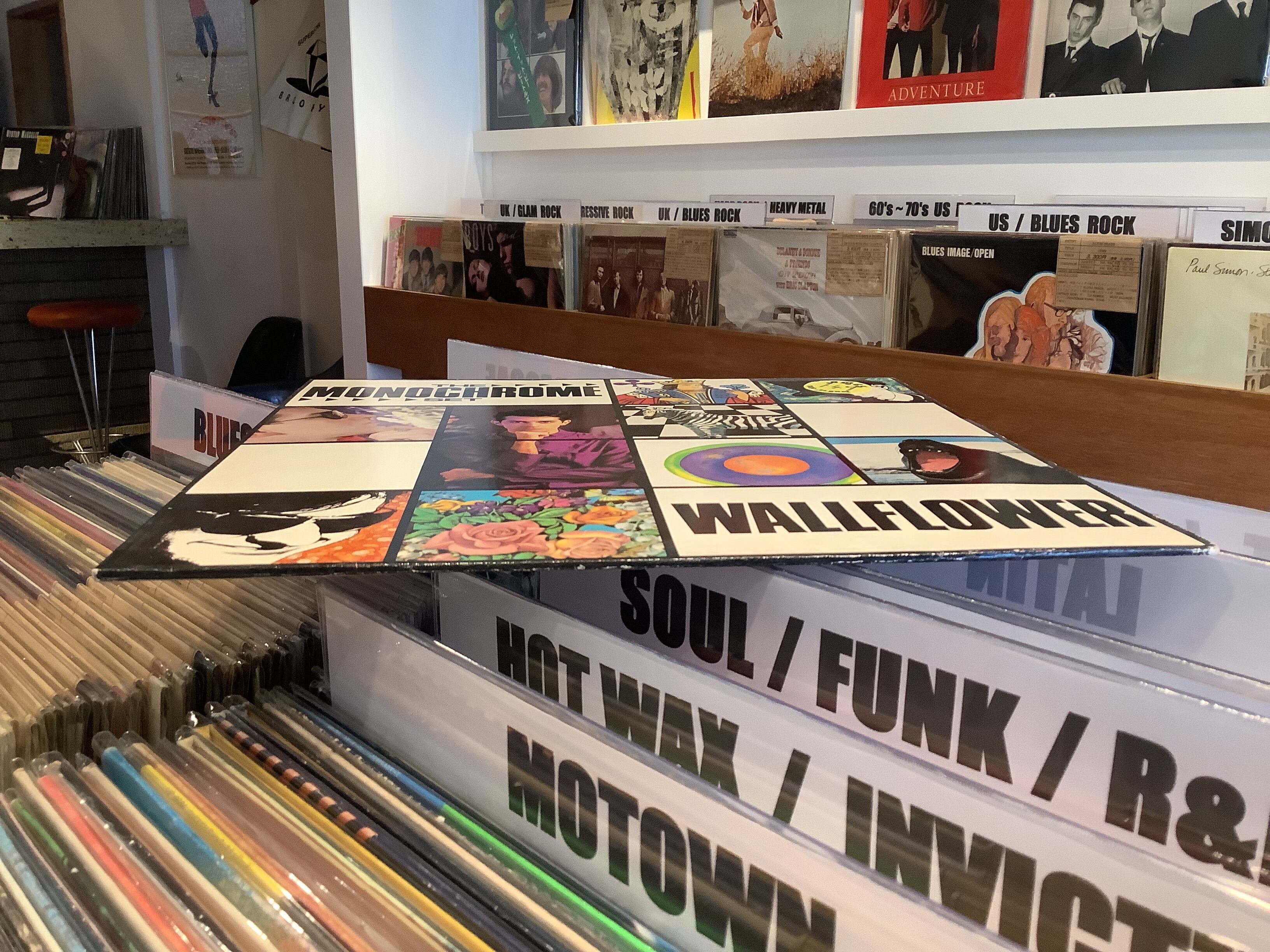 THE MONOCHROME SET / WALLFLOWER | Plastic Soul Records