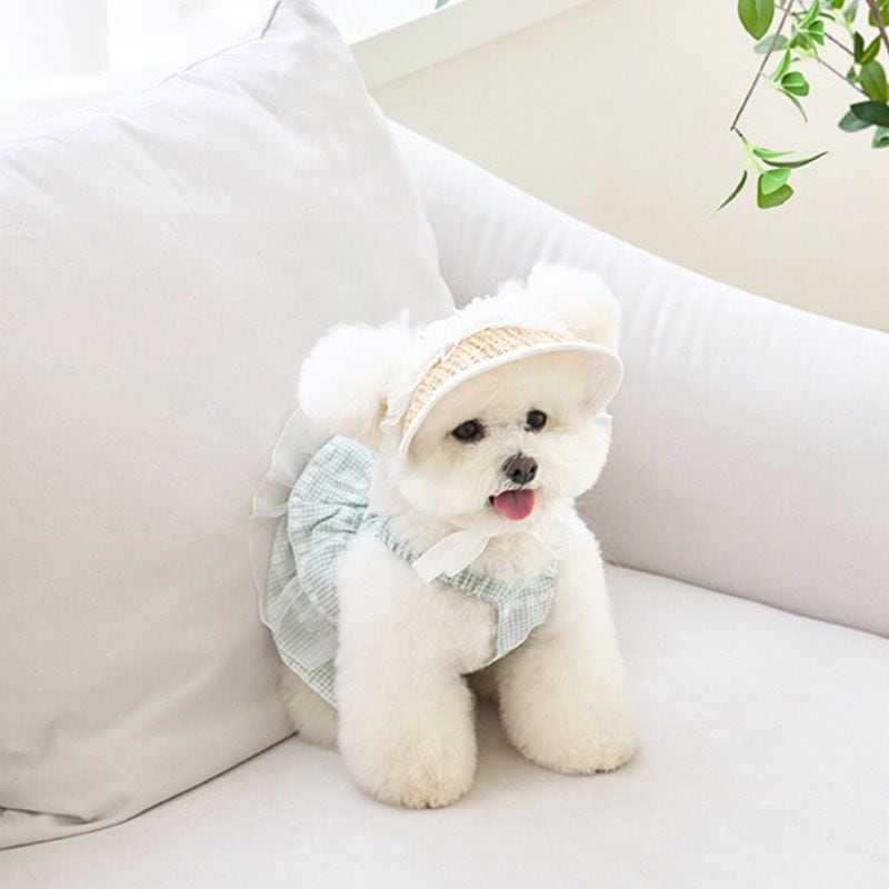 一部ご予約】麦わらキャップ 犬用レース帽子｜白フリルの小型犬ハット