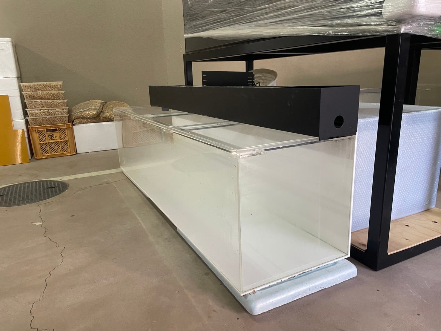 新入荷 | アクアショップ ビリーケン オンラインストア